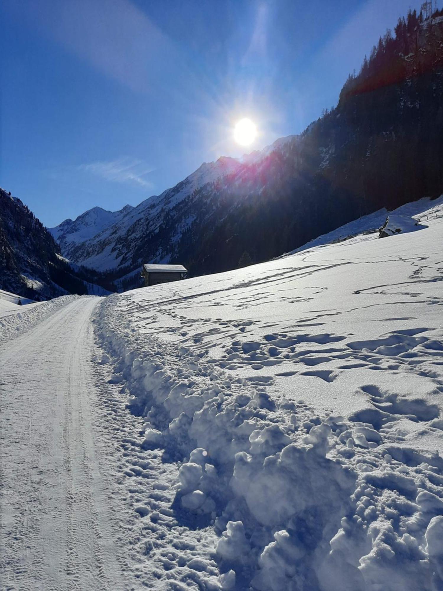Apart Alexandra Strass im Zillertal Room photo